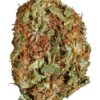 God Bud Photo Reg ( 5 Seeds)
