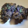 Black Cheese Photo Reg (5 Seeds)