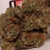 Peanut Butter Black Photo Reg (5 Seeds) (PBB x Black Water)