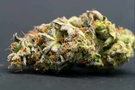 Rude Boi Photo Fem (4 Seeds)