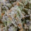 Gorilla Cookies Auto  (4 Seeds)