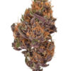 Fruity Pebbles Photo Fem ( 4 Seeds) Late Sept-Early Oct Harvest